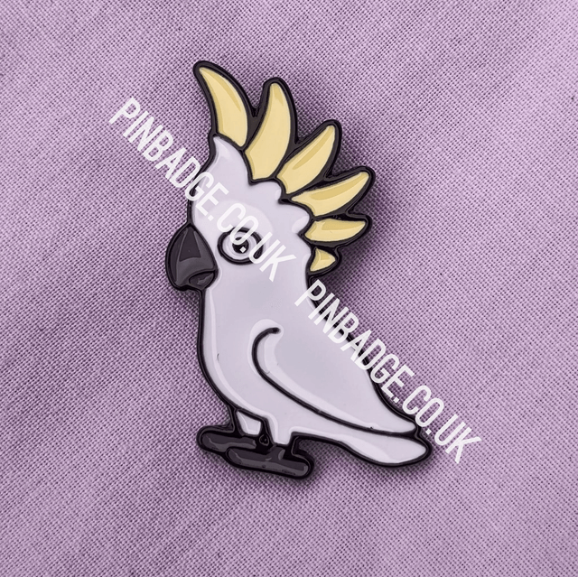 Cockatoo bird