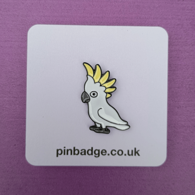 Cockatoo bird