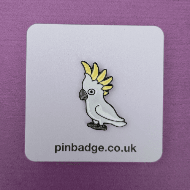 Cockatoo bird